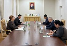 Türkmenistanyň Mejlisinde Türkiýe Respublikasynyň Türkmenistandaky Adatdan daşary we Doly ygtyýarly Ilçisi bilen duşuşyk geçirildi
