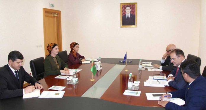 eu-delegation-ambassador-to-turkmenistan