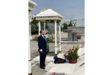 Ýewropa Bileleşiginiň ilçisi işe başlady