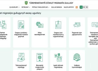 Türkmenistanyň Döwlet migrasiýa gullugy elektron wiza ulgamyny işe girizdi