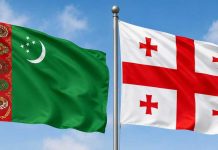 Turkmenistan and Georgia Discuss Prospects for Cooperation in Education, Science and Youth Policy