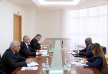 Türkmenistanyň Daşary işler ministriniň orunbasarynyň Günorta Afrika Respublikasynyň täze bellenen Ilçisi bilen duşuşygy