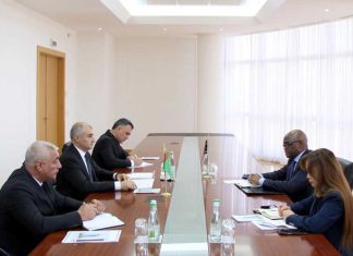 Türkmenistanyň Daşary işler ministriniň orunbasarynyň Günorta Afrika Respublikasynyň täze bellenen Ilçisi bilen duşuşygy