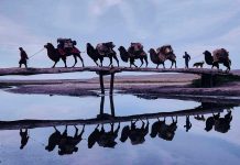 В Ашхабаде открылась фотовыставка о казахской культуре