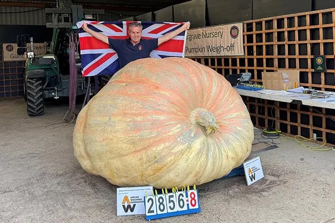 largest heaviest pumpkin