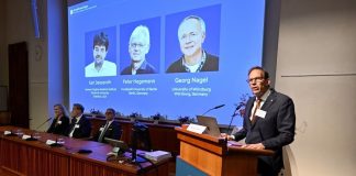 Lukmançylyk boýunça Nobel baýragy berildi