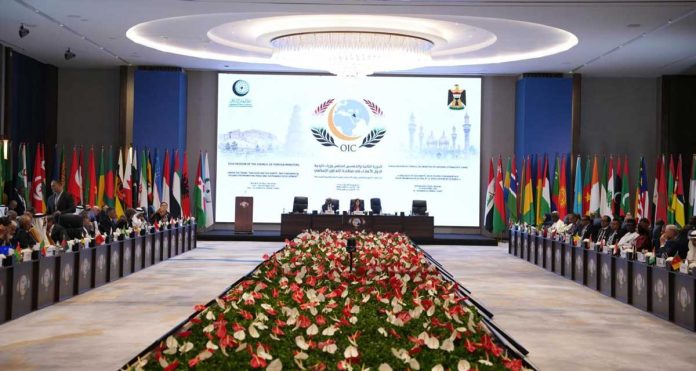 oic-summit-in-irak-yrak-oraq-turkmen-delegation