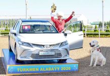 Ýurdumyzda Türkmen alabaýynyň baýramy giňden bellenildi
