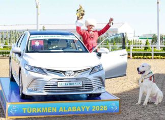 Ýurdumyzda Türkmen alabaýynyň baýramy giňden bellenildi