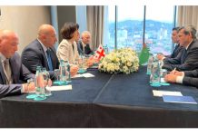 Türkmenistanyň we Gruziýanyň daşary işler ministrleri duşuşdy